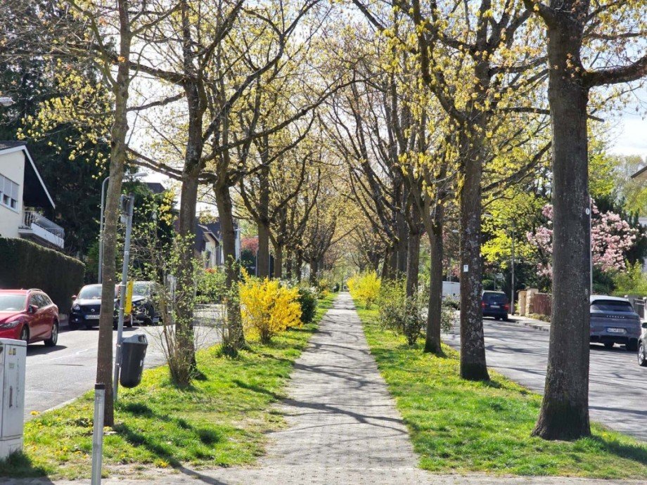 Umgebung Etagenwohnung Wiesbaden