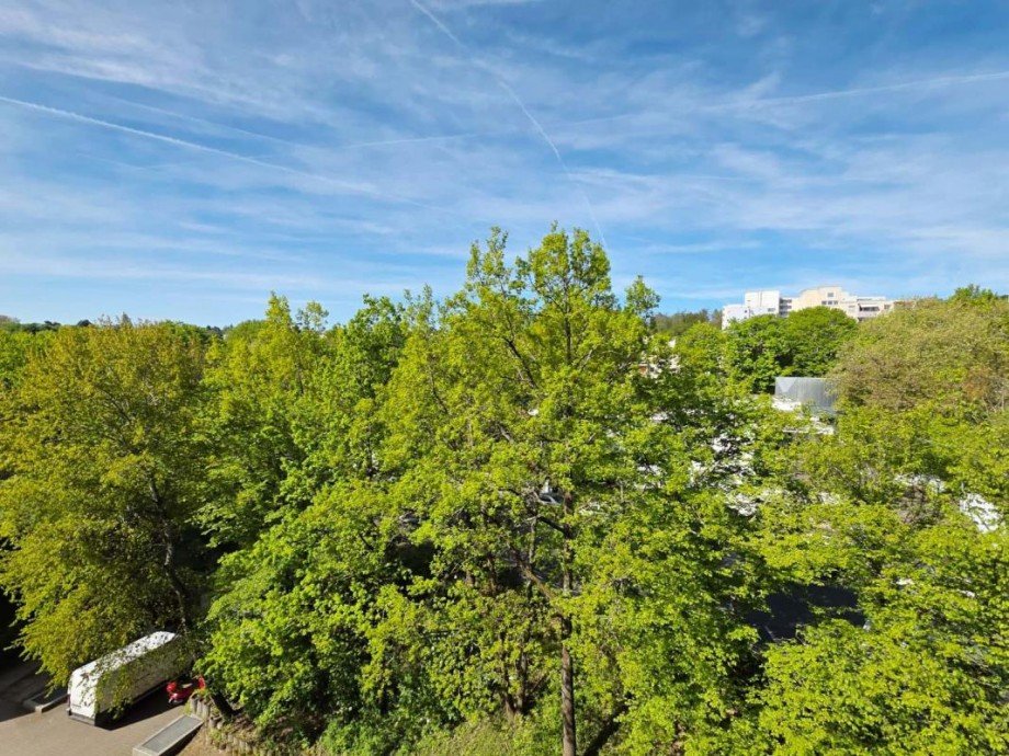 Ausblick Etagenwohnung Wiesbaden