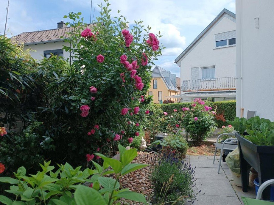 G�rtchen Einfamilienhaus Mainz