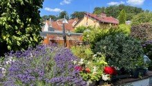 Au�enbereich DER SOMMER KANN KOMMEN! GEPFLEGTES ZWEIFAMILIENHAUS MIT VIEL PLATZ