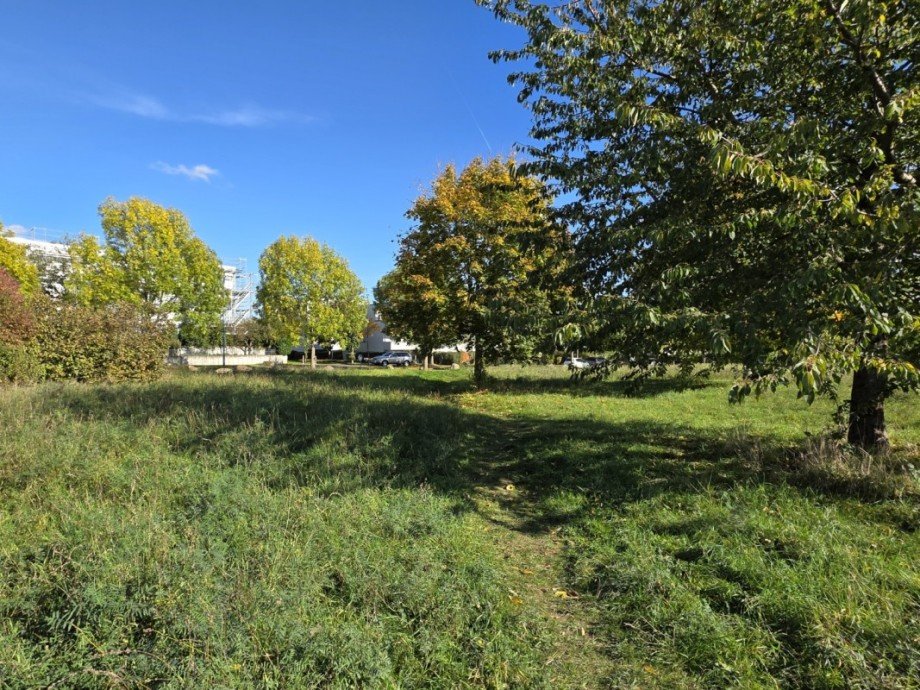 Natur vor der T�r Terrassenwohnung Wiesbaden